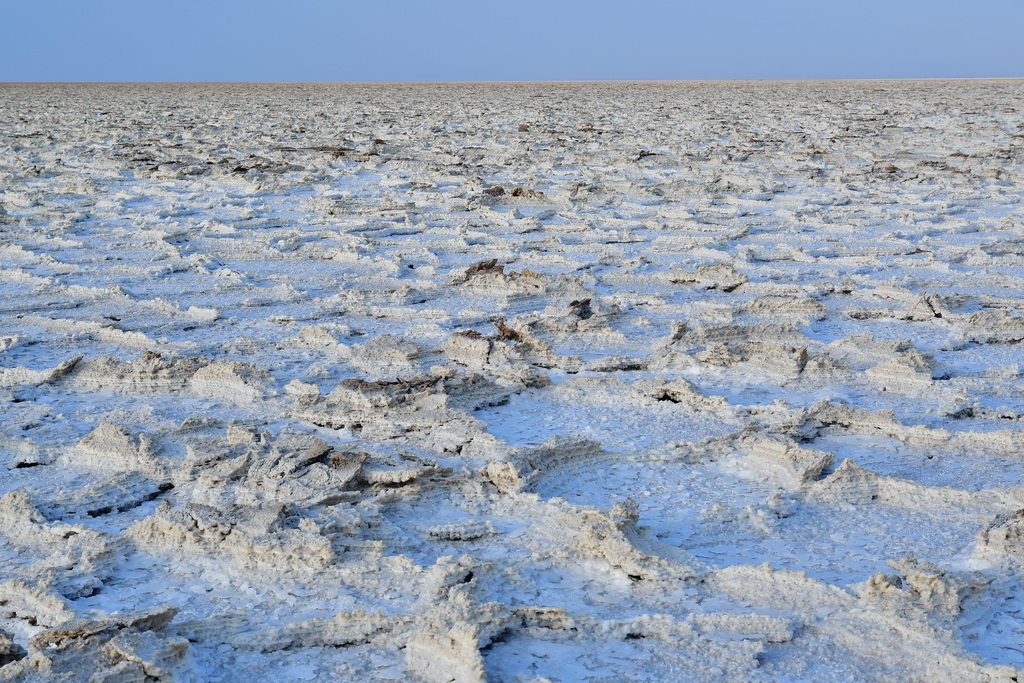 Lake Assale (Danakil)